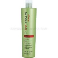 Inebrya Ice Cream Energy šampón proti vypadávániu vlasov  300 ml