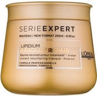 L’Oréal Professionnel Série Expert Absolut Repair Lipidium regeneračná maska  pre veľmi poškodené vlasy  250 ml