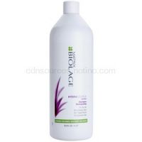 Matrix Biolage Hydra Source šampón pre suché vlasy  1000 ml