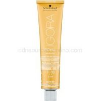 Schwarzkopf Professional IGORA Royal Absolutes farba na vlasy odtieň 7-10 60 ml