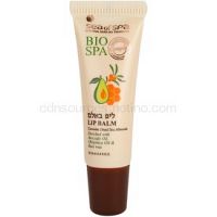 Sea of Spa Bio Spa balzam na pery  12 ml