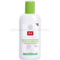 Splat Professional Medical Herbs ústna voda na ochranu zubov a ďasien  275 ml