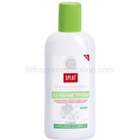 Splat Professional Medical Herbs ústna voda na ochranu zubov a ďasien  275 ml