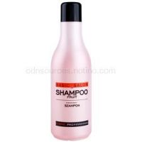 Stapiz Basic Salon Fruity šampón na každodenné použitie  1000 ml