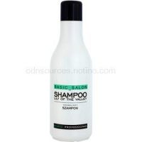 Stapiz Basic Salon Lily of the Valley šampón pre všetky typy vlasov  1000 ml