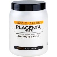 Stapiz Basic Salon Placenta hydratačná maska  pre lámavé a namáhané vlasy  1000 ml