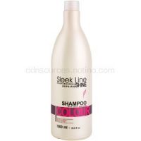 Stapiz Sleek Line Colour šampón pre farbené vlasy  1000 ml