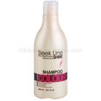 Stapiz Sleek Line Colour šampón pre farbené vlasy  300 ml