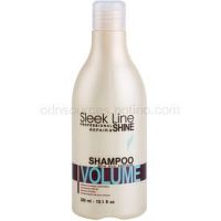 Stapiz Sleek Line Volume hydratačný šampón pre jemné vlasy  300 ml
