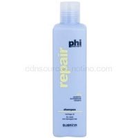 Subrina Professional PHI Repair obnovujúci šampón pre poškodené vlasy  250 ml