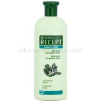 Subrina Professional Recept Clean & Fresh šampón pre citlivú pokožku hlavy Sage 400 ml