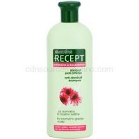 Subrina Professional Recept Intensive & Balancing šampón proti lupinám pre normálne až mastné vlasy Echinacea 400 ml