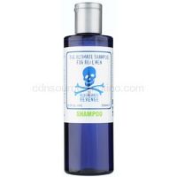 The Bluebeards Revenge Hair & Body šampón pre všetky typy vlasov  250 ml