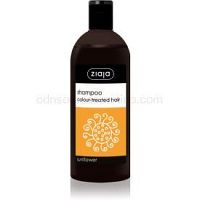 Ziaja Family Shampoo šampón pre farbené vlasy  500 ml