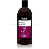 Ziaja Family Shampoo šampón pre normálne vlasy  500 ml