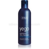 Ziaja Yego šampón proti lupinám pre mužov  300 ml