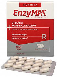 SALUTEM Pharma Enzymax R 120 kapslí