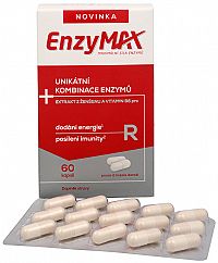 SALUTEM Pharma Enzymax R 60 kapslí