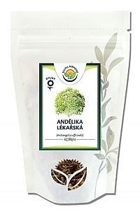 Salvia Paradise Andělika lékařská kořen 1 kg