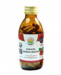 Salvia Paradise Guduchi - Chebule srdčitá kapsule 120 ks