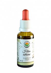 Salvia Paradise Hliva ustricová AF tinktúra 30 ml