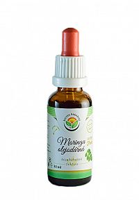 Salvia Paradise Moringou olejodárná AF tinktúra 50 ml