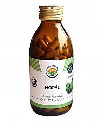 Salvia Paradise Nopál - Opuncie kapsule 120 ks