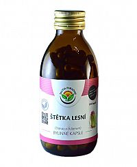 Salvia Paradise Štetka lesná kapsule 120 ks
