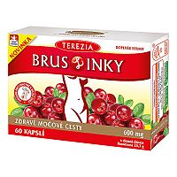 Terezia Company Bruslinky 60 kapsúl