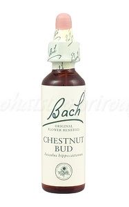 Chestnut Bud - Púčik pagaštana konského - bachove kvapky 20 ml