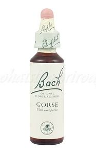 Gorse - Útesovec európsky 20 ml - bachove kvapky