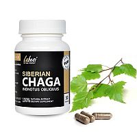 Sibírska čaga 60 kapsúl - huba chaga