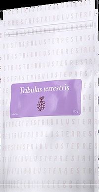 Tribulus Terrestris (kotvičník zemný) čaj