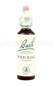 Wild Rose - Planá šípková ruža 20 ml - bachove kvapky
