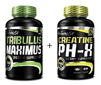 Akcia: Tribulus Maximus + Creatine pH-X Zadarmo - Biotech USA 90 tbl + 90 kaps