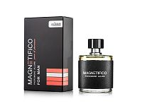 VALAVANI Feromony MAGNETIFICO Allure pre mužov 50ml